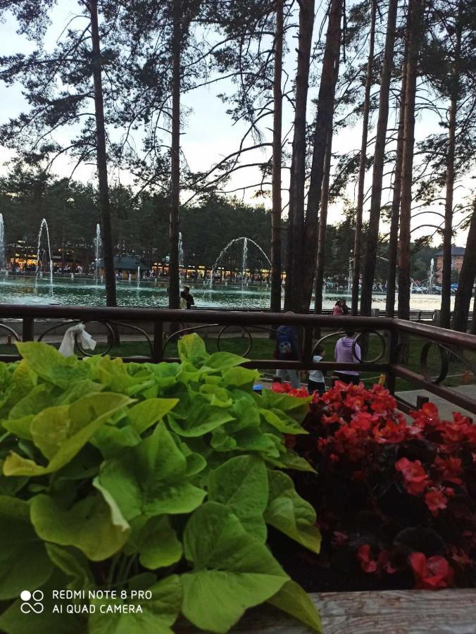 Apartmani Sloboda Zlatibor Buitenkant foto