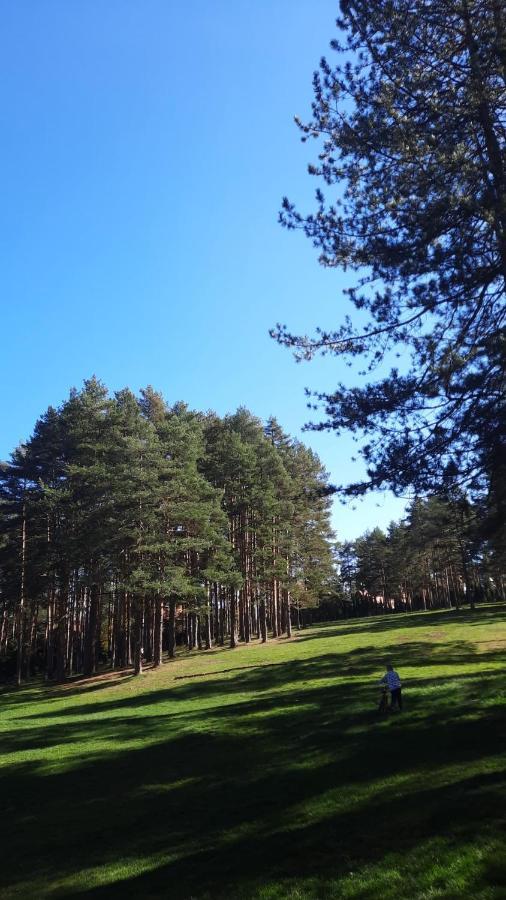 Apartmani Sloboda Zlatibor Buitenkant foto