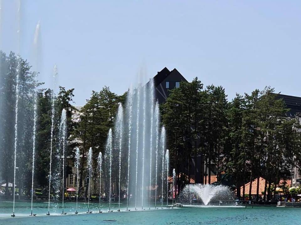 Apartmani Sloboda Zlatibor Buitenkant foto